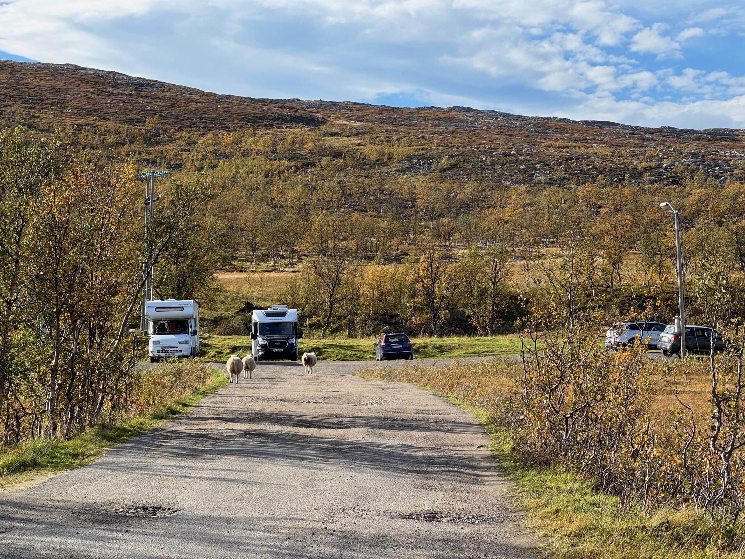 Die 10 Regeln, die jeder verantwortungsvolle Vanlifer kennen sollte